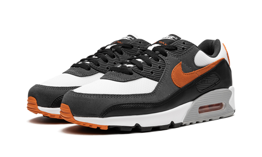 Air Max 90 "Starfish" DM0029 101