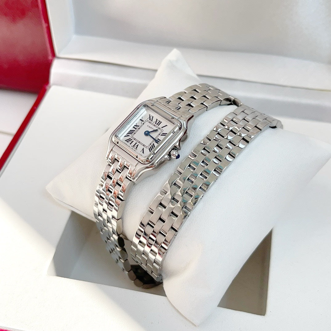 Panthere 22mm Silver Double Chain 44cm