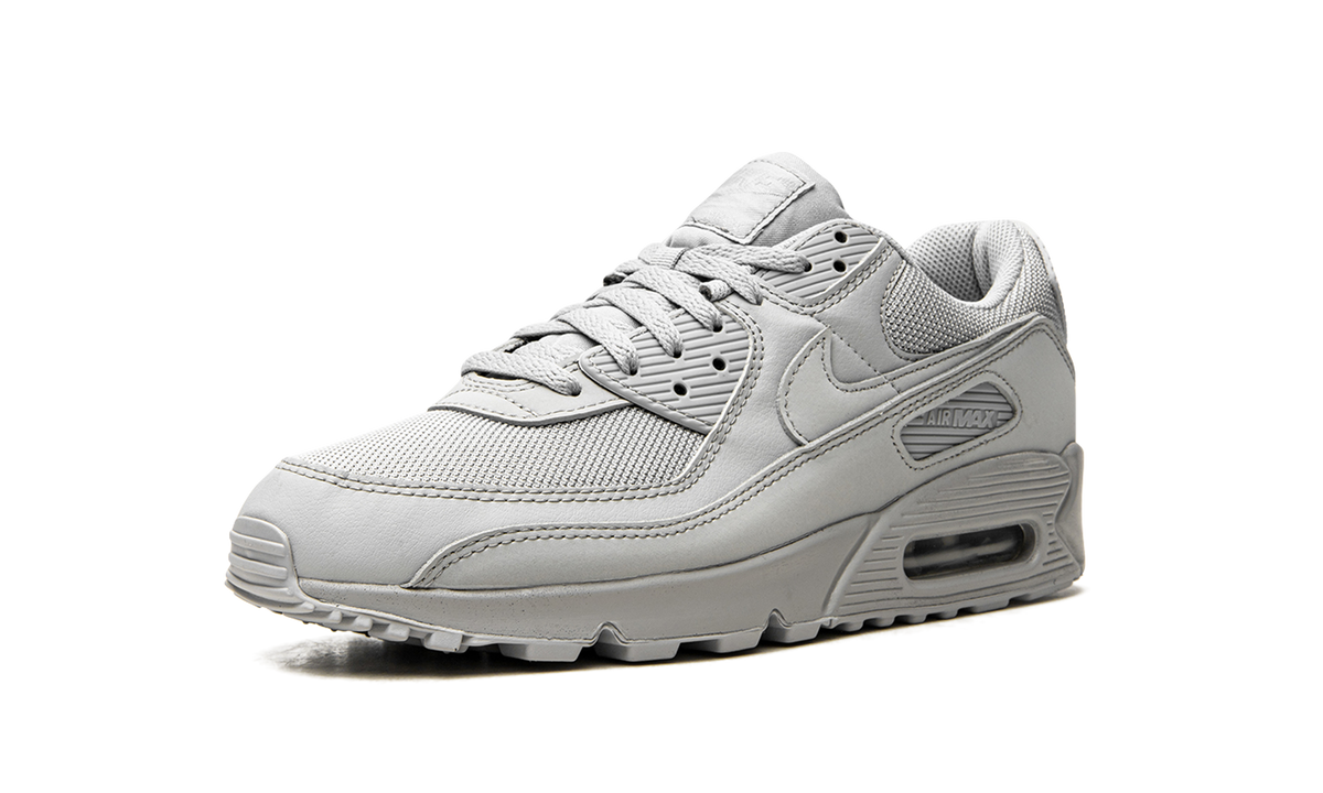 Air Max 90 "Wolf Grey" CN8490 001