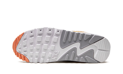 AIR MAX 90 MNS WMNS "We'll Take It From Here" DV2188 100