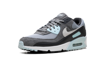 Air Max 90 "Pumice" DM0029 009
